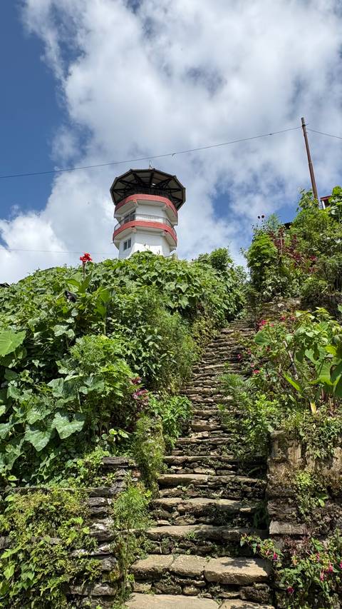 Path leading up to a building surrounded by greenery