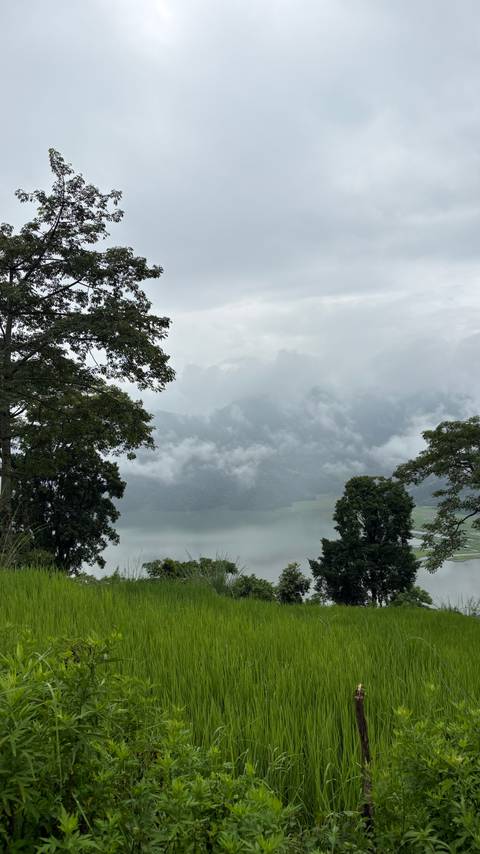 Lake surrounded by trees and hills under cloudy skies