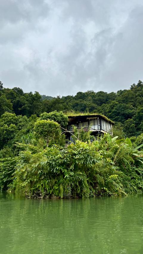 Eco-friendly home surrounded by forest