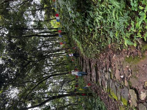 Two people walking on a wooded path with prayer flags
