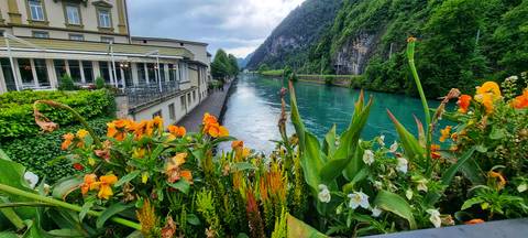 A colorful garden beside a calm river in a mountainous area.