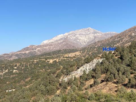 A scenic view of a mountain range with trees in the foreground and a sign that says 'Holey'.