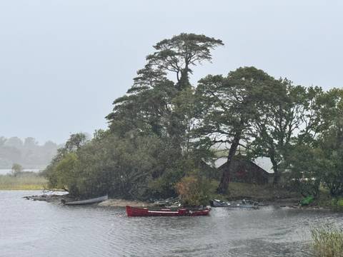 A small island with trees and boats.