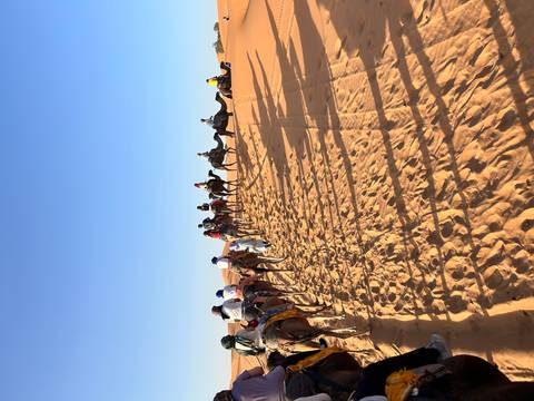 Camel caravan in the Sahara Desert, Morocco.