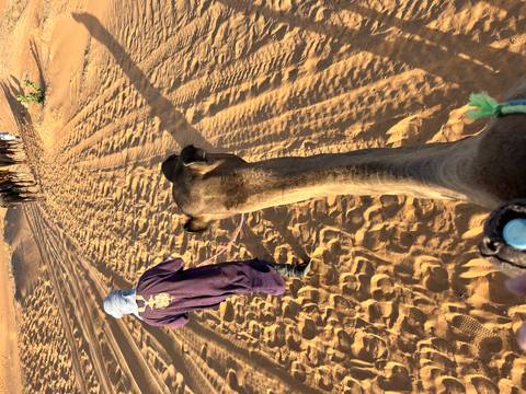 Camel ride at a desert with a person leading the camel.
