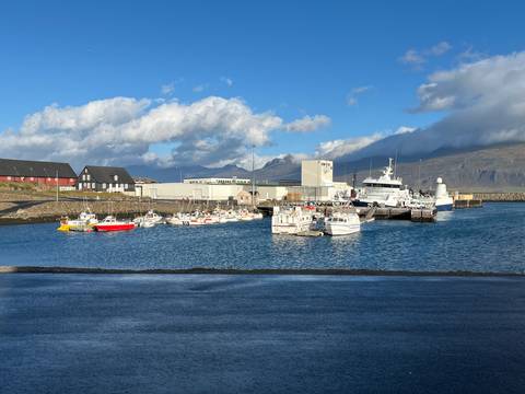 Harbor with boats and buildings under a blue sky.