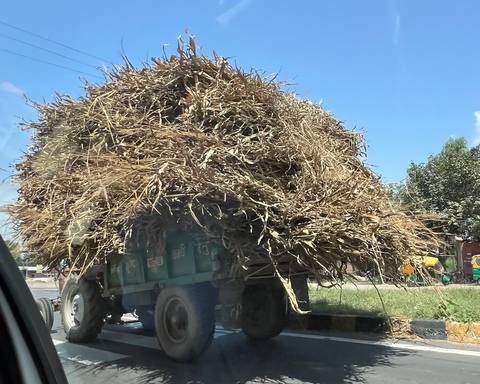 Truck carrying a large load of hay