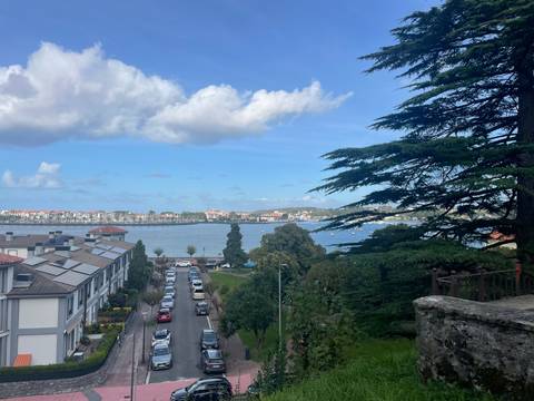 Seaside town with trees and buildings by the water.