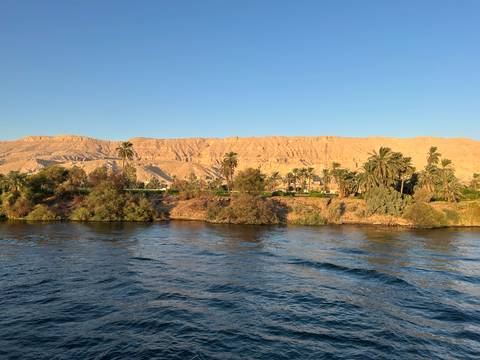 Riverbank with palm trees and a view of hills across the water.