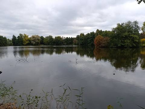 Serene lake with reflections of trees in autumn colors.