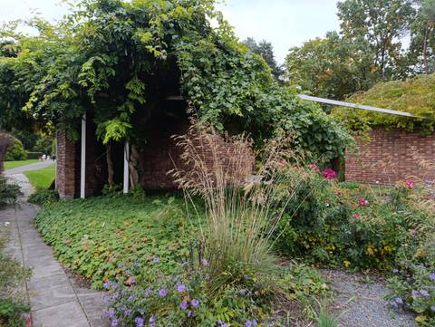 Garden with lush greenery and a brick structure.