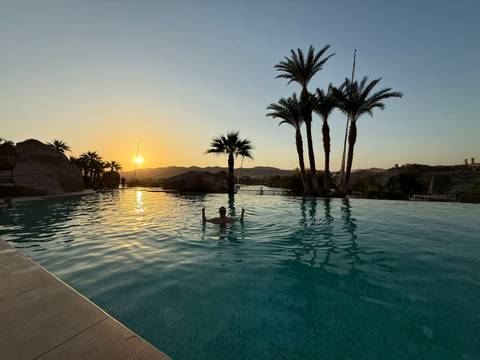 Person swimming in a pool with palm trees at sunset.