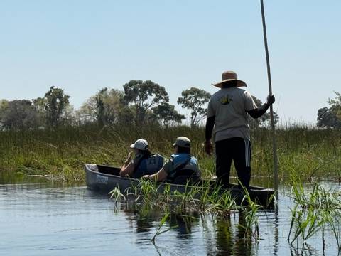 Two people in a canoe surrounded by reeds.