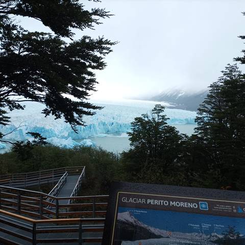 Large glacier surrounded by lush greenery and trees.