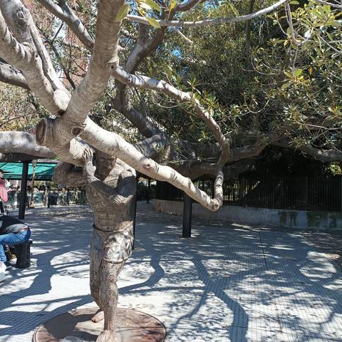 Outdoor statue intertwined with a large tree.