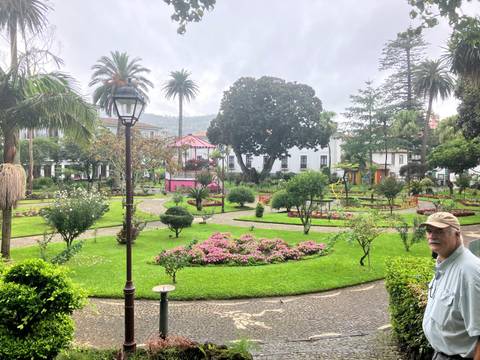 Person standing in a lush garden with various plants and flowers.