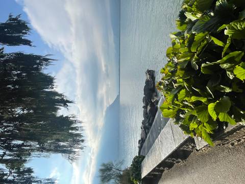 Lakeside view with bushes and a mountain in the background.