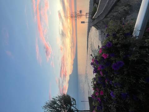Sunset view over a lake with flowers and mountains.