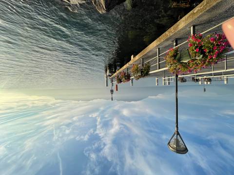 Pier adorned with flowers on a lake during the day.