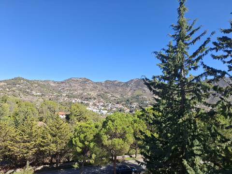 View of a mountainous village with trees.