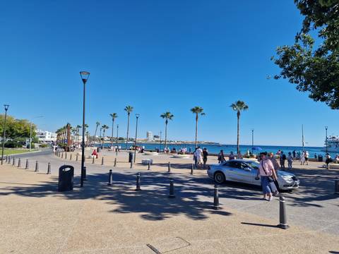 Lively coastal promenade with people and palm trees.