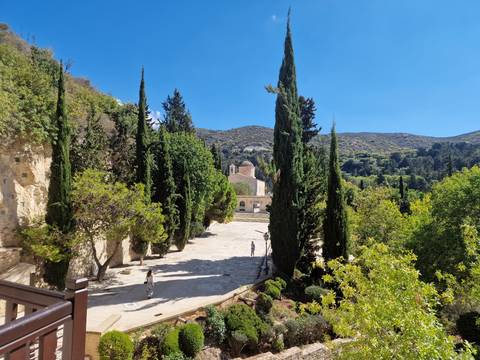 Courtyard with trees and a historic building.
