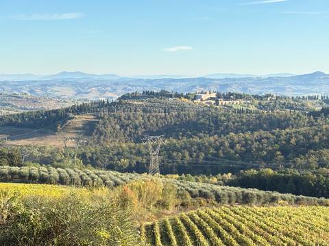 Panoramic landscape of the countryside with vineyards.