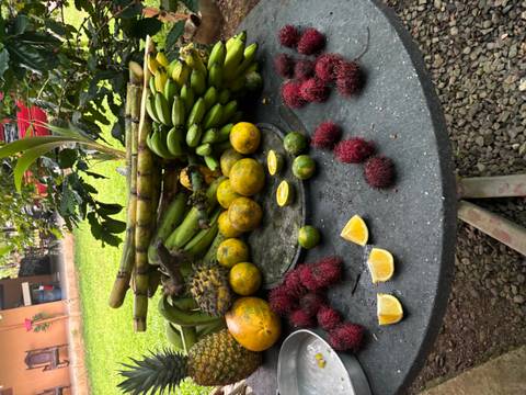 Assorted tropical fruits on a table.