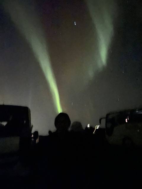 Northern lights in the night sky with silhouettes of people.