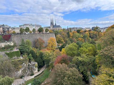 A cliffside view overlooking a city with lush greenery and historical structures.