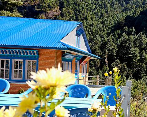 Building with a blue roof surrounded by trees and flowers.