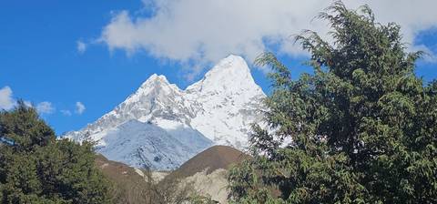 Snowy mountain peak with a clear blue sky and some green trees.