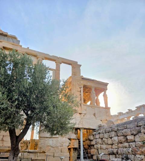 Ancient Greek ruins with greenery and a clear sky.