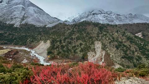 Snowy mountains with river and colorful foliage.