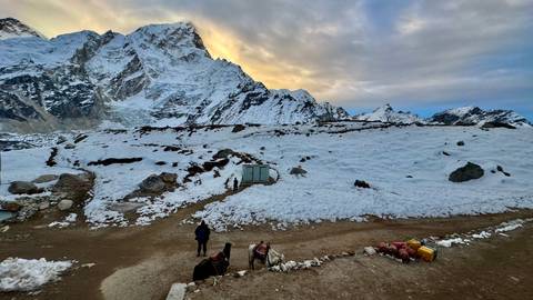 People and yaks on a snowy path with mountains at sunset.