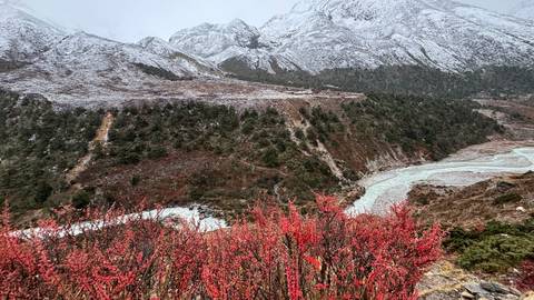 Scenic landscape with river and vivid red foliage in front of snowy mountains.