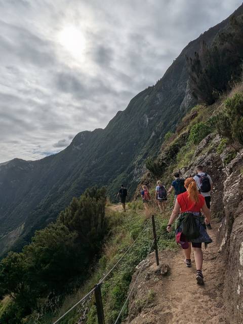 Group of hikers on a mountainous trail with dense foliage.