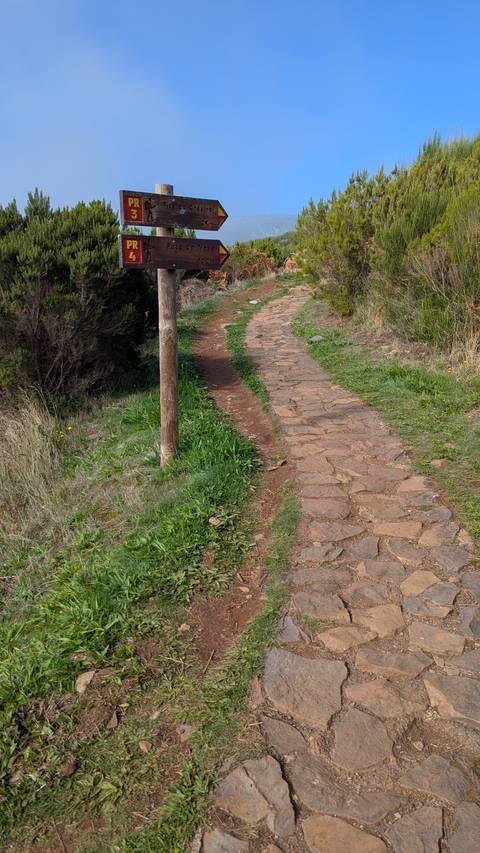 A stone path with vegetation on either side.