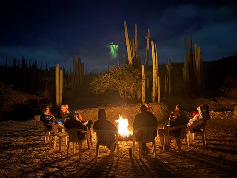 Group around a campfire with cacti in the backdrop.