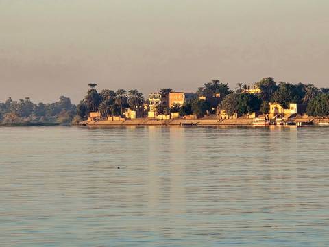 Lush riverbank with houses and palm trees.