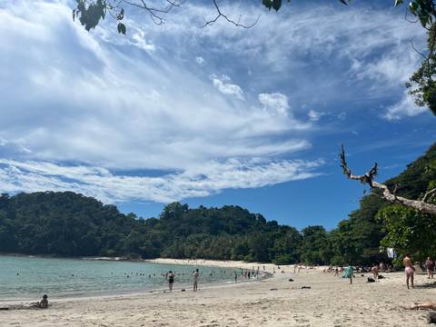 A tropical beach scene with people and blue sky.