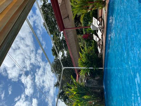 A swimming pool with lounge chairs and lush greenery.