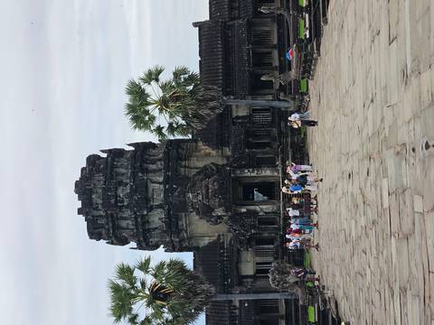 Tourists exploring ancient ruins with palm trees.