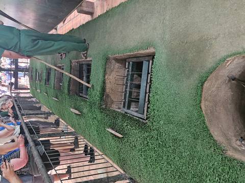 Historical exhibit showing traps with spikes.