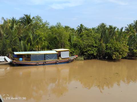 Wooden boat on a river surrounded by lush greenery.