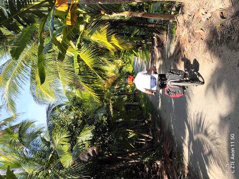 A person cycling on a path with palm trees around.