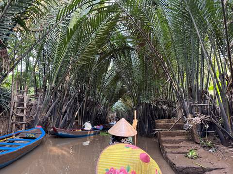 Rowing boats in a narrow waterway lined with dense palms.