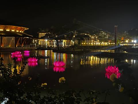 A night scene with illuminated water lilies on a pond.