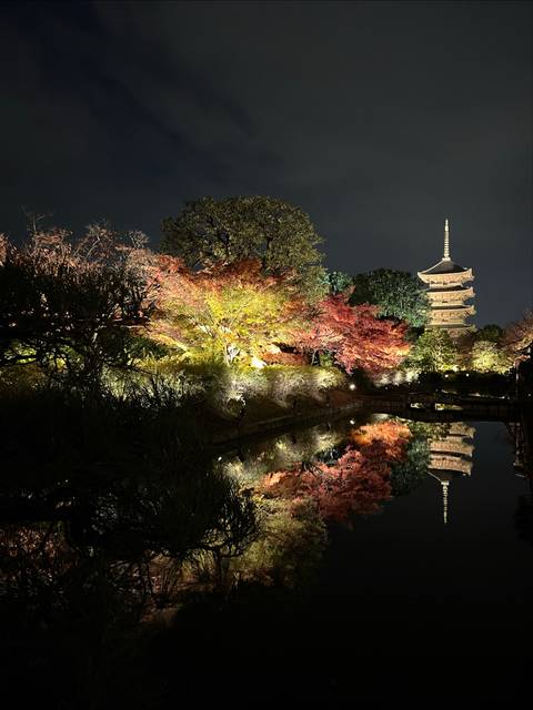 Illuminated pagoda and autumn trees reflected in water at night.