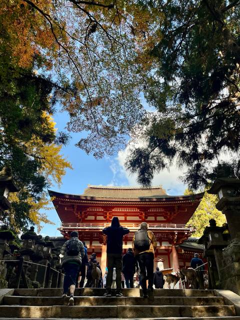 Traditional Japanese temple roof surrounded by trees.